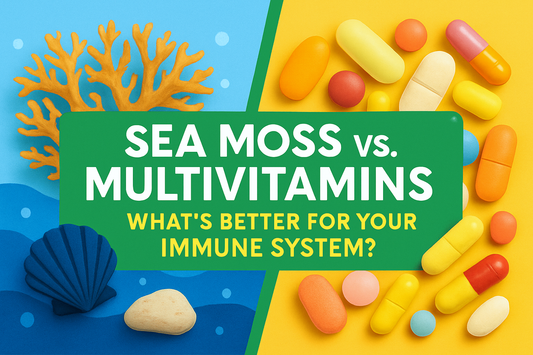 Sea Moss vs. Multivitamins – What’s Better for Your Immune System?