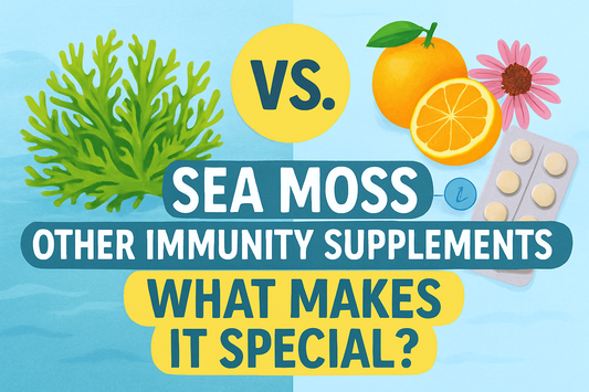 Sea Moss vs. Other Immunity Supplements – What Makes It Special?