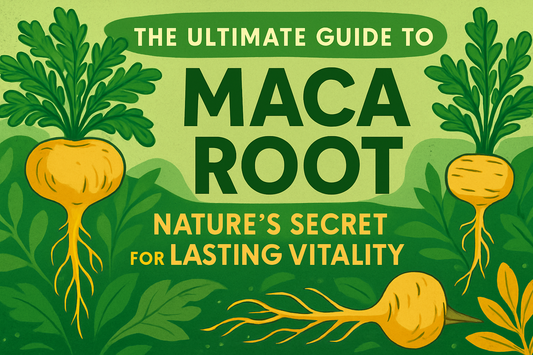 The Ultimate Guide to Maca Root – Nature’s Secret for Lasting Vitality
