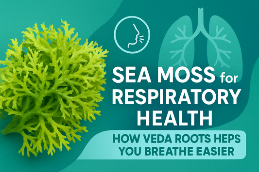 Sea Moss for Respiratory Health – How Veda Roots Helps You Breathe Easier