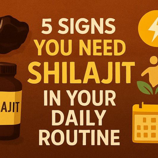 5 Signs You Need Shilajit in Your Daily Routine