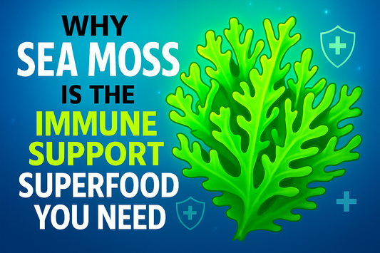 Why Sea Moss Is the Immune Support Superfood You Need