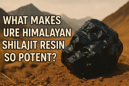 What Makes Pure Himalayan Shilajit Resin So Potent?