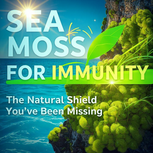 Sea Moss for Immunity – The Natural Shield You’ve Been Missing