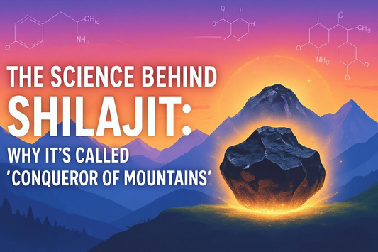 The Science Behind Shilajit: Why It’s Called “Conqueror of Mountains”