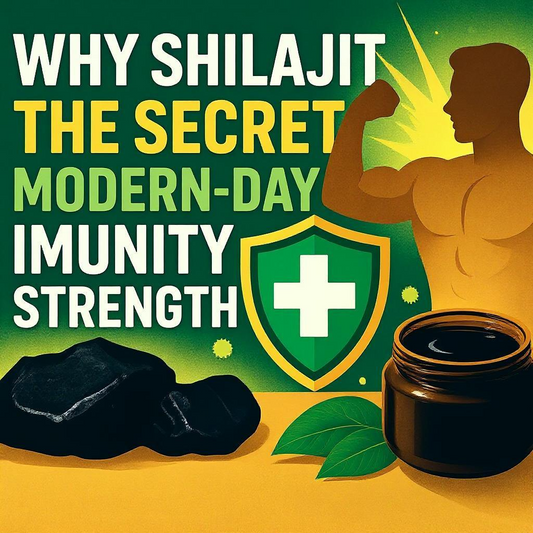 Why Shilajit is the Secret to Modern-Day Immunity and Strength