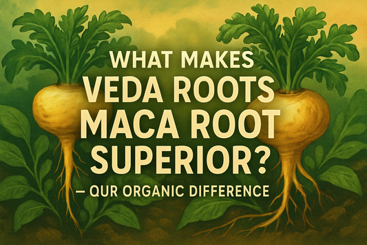 What Makes Veda Roots Maca Root Superior? – Our Organic Difference