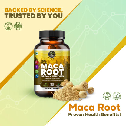 Maca root supplement bottle with maca powder on a green and beige background